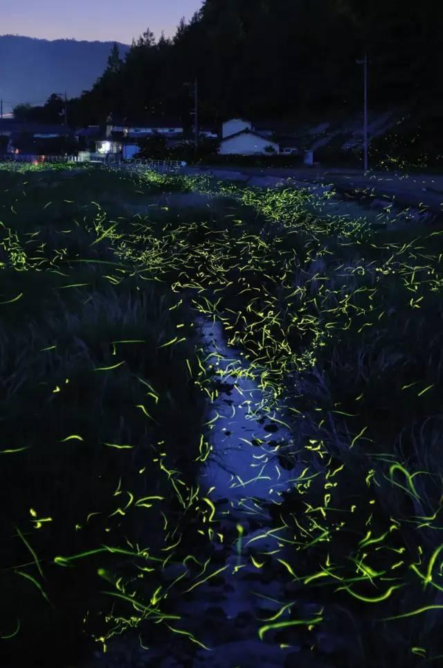 月光影视